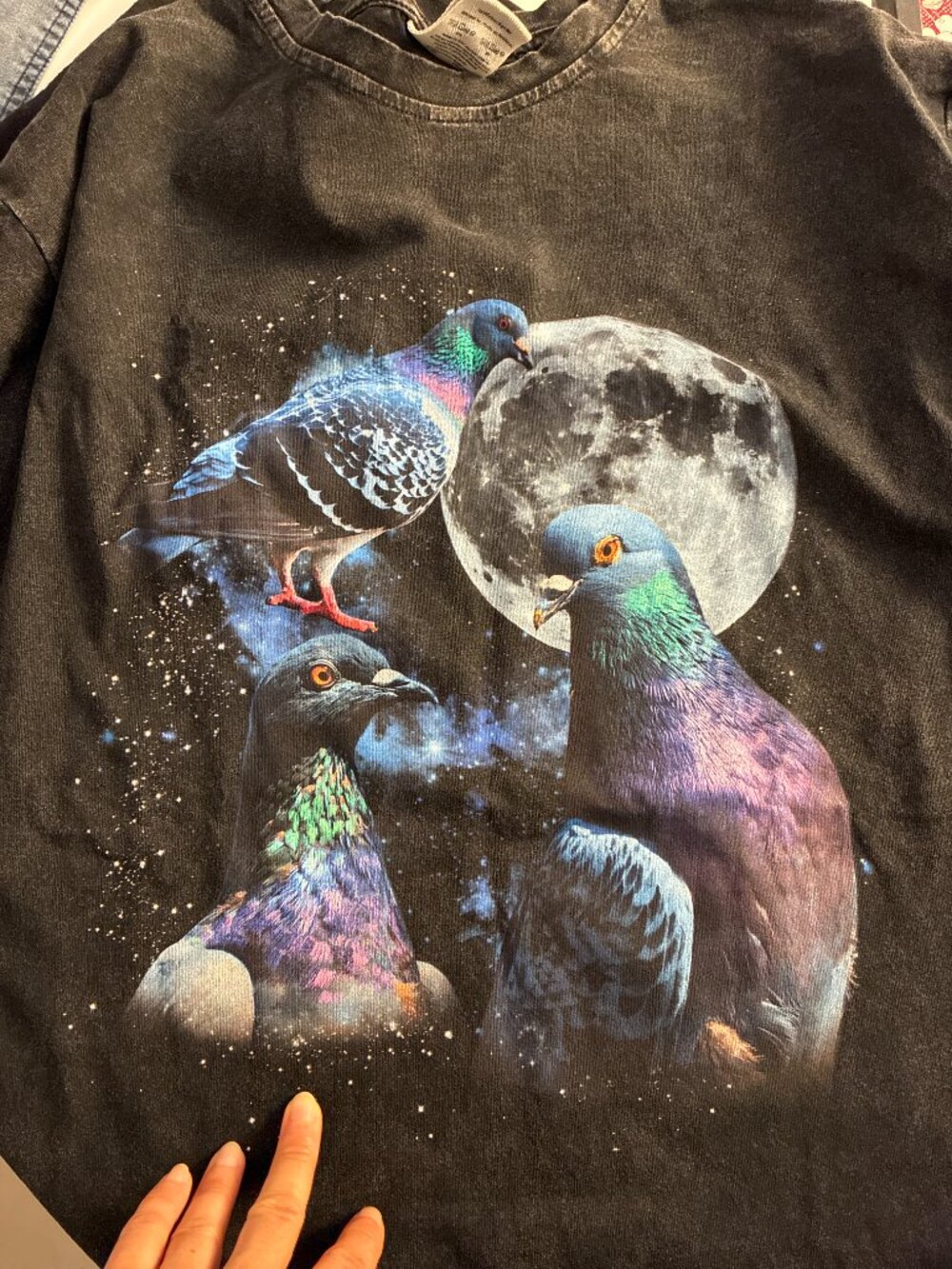 Vintage Pigeon Moon Graphic Tee – Black Oversized Nature Streetwear Shirt